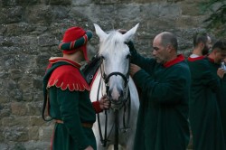 2017 06 17 sandomenico 441