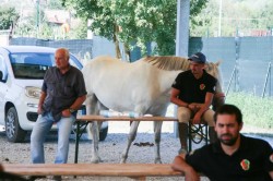 2017 08 23 previsite 0050