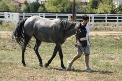 2017 08 23 previsite 0057