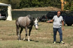2017 08 23 previsite 0061