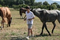 2017 08 23 previsite 0064
