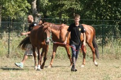 2017 08 23 previsite 0065