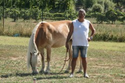 2017 08 23 previsite 0068