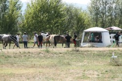 2017 08 23 previsite 0074