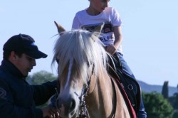 27 05 2017 squola giostra 102