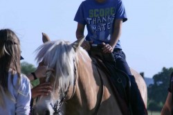 27 05 2017 squola giostra 107