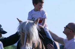27 05 2017 squola giostra 108