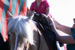 27 05 2017 squola giostra 111