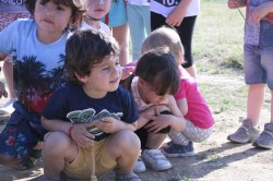 27 05 2017 squola giostra 34