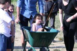 27 05 2017 squola giostra 52