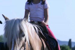 27 05 2017 squola giostra 93