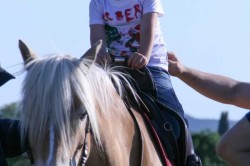 27 05 2017 squola giostra 94