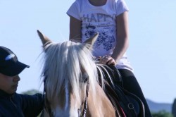 27 05 2017 squola giostra 95