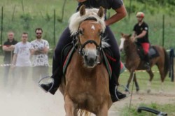 27 05 2018 festafamiglia 193