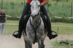 27 05 2018 festafamiglia 202
