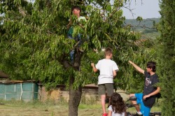 2019 06 14 prove campo giostratori 01