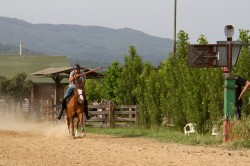 2019 06 14 prove campo giostratori 15