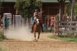 2019 06 14 prove campo giostratori 23