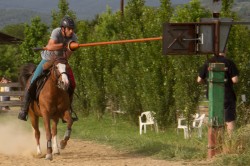 2019 06 14 prove campo giostratori 26