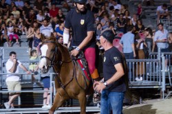 Prove giugno 2019