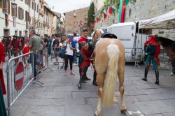 2019 06 22 attesa preparativi 334