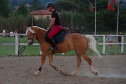 2019 06 12 simulazione giostra 042