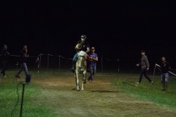 2019 06 12 simulazione giostra 154