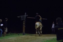 2019 06 12 simulazione giostra 247