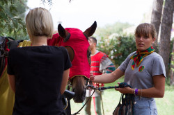 2022 09 04 san domenico 48