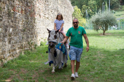 2022 09 04 san domenico 84