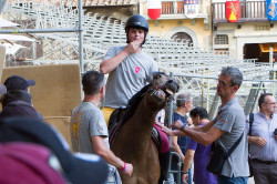 2022 08 29 prove 036