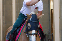 2022 08 29 prove 047