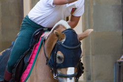 2022 08 29 prove 048