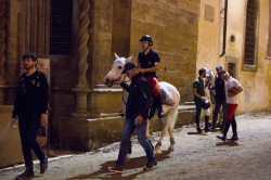 2023 06 14 simulazione giostra 42