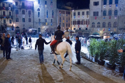 2023 06 14 simulazione giostra 45
