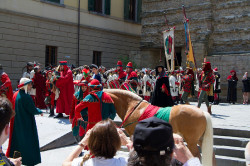 2023 06 16 bollatura cavalli 193