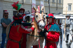2023 06 16 bollatura cavalli 205