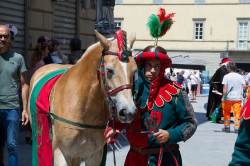 2023 06 16 bollatura cavalli 207