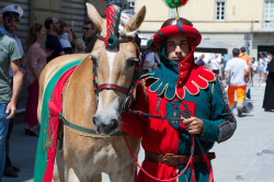 2023 06 16 bollatura cavalli 208