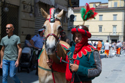 2023 06 16 bollatura cavalli 209