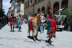 2023 06 16 bollatura cavalli 210