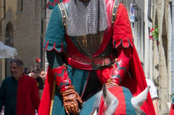 2023 06 16 bollatura cavalli 213