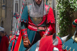 2023 06 16 bollatura cavalli 214