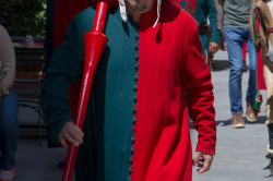 2023 06 16 bollatura cavalli 215