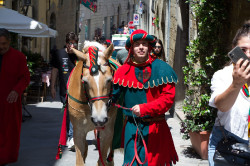 2023 06 16 bollatura cavalli 216