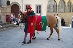 2023 06 16 bollatura cavalli 45