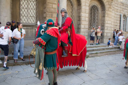 2023 06 16 bollatura cavalli 48