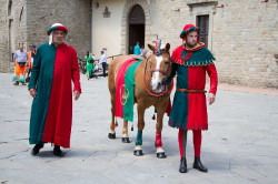 2023 06 16 bollatura cavalli 57