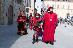 2023 06 16 bollatura cavalli 60