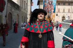 2023 06 16 bollatura cavalli 66